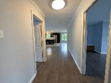 17-043 Country setting only 15 mins from Bayers Lake! HEAT INCL! - Photo 9