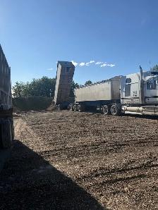 driver job