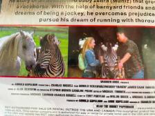 Racing Stripes –(Cheer ‘Till You’re Horse!) -  DVD - Photo 2