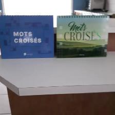 2GRANDS LIVRES NEUFS 234MOTS CROISÉS CHACUN SOLUTIONS: $15.00CHA