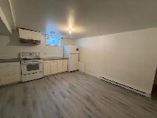 2 Bed Basement Suite near U of S - Photo 3