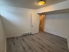2 Bed Basement Suite near U of S - Photo 4