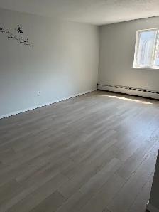457 Young St. - Photo 2