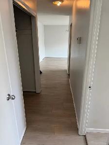 457 Young St. - Photo 4