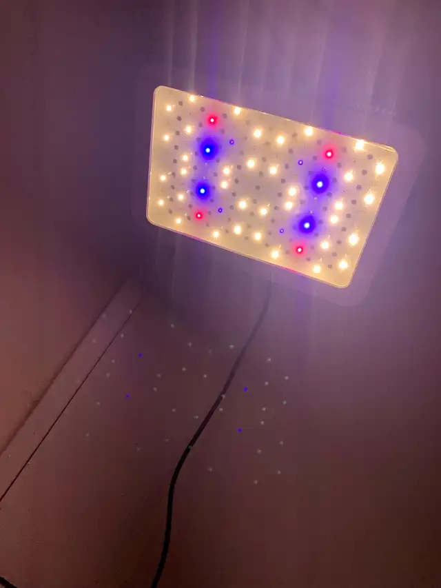 1000W LED grow light