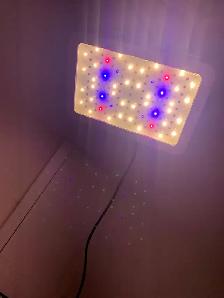1000W LED grow light