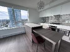 2-Bedroom Sub-Penthouse River Views New Westminster Waterfront - Photo 4