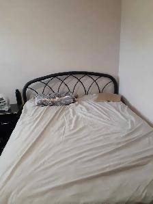 room available rent in four bedroom house - Photo 3