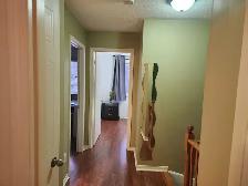 Decent room in Pickering for student or young professional - Photo 8