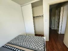 Decent room in Pickering for student or young professional - Photo 11