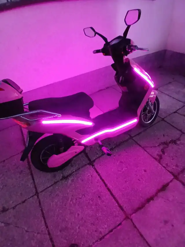 chameleon daymak electric bike