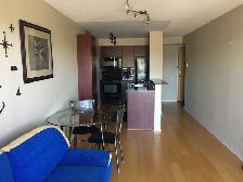 Large 1-bedroom condo for rent - Photo 3