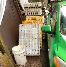 Chicken Crates