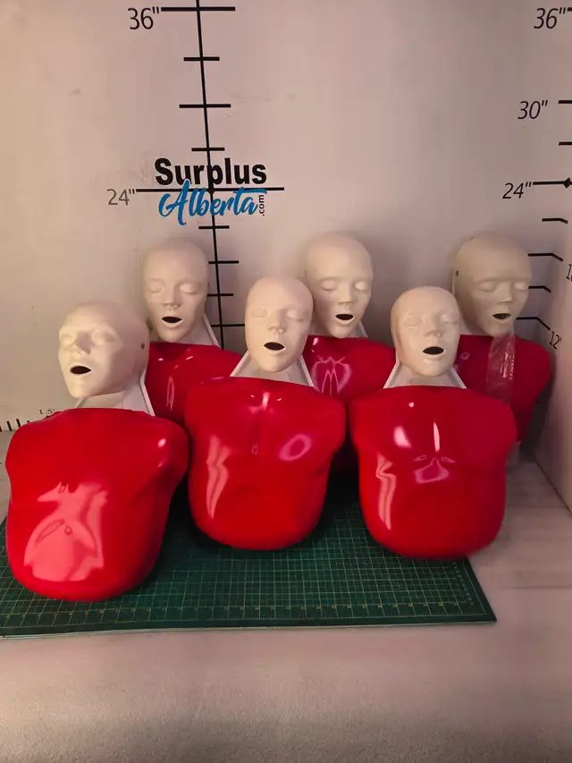 Nasco Lifeform Basic Buddy Training CPR Manikins x 6 W/Bag