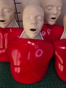 Nasco Lifeform Basic Buddy Training CPR Manikins x 6 W/Bag - Photo 4