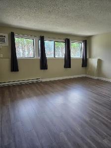 Beautiful 2 Bedroom  — Main Floor with Private Entrance