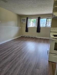 Beautiful 2 Bedroom  — Main Floor with Private Entrance - Photo 2