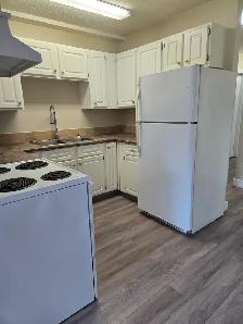 Beautiful 2 Bedroom  — Main Floor with Private Entrance - Photo 3