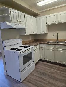 Beautiful 2 Bedroom  — Main Floor with Private Entrance - Photo 4