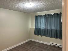 Beautiful 2 Bedroom  — Main Floor with Private Entrance - Photo 8
