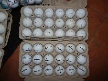 USED/RECYCLED GOLF BALLS .ALL HAND SCRUBBED /SORTED - Photo 4