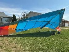 Delta Wing Kites Phoenix Hang Glider - Deal Pending