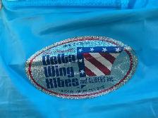 Delta Wing Kites Phoenix Hang Glider - Deal Pending - Photo 2