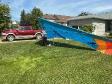 Delta Wing Kites Phoenix Hang Glider - Deal Pending - Photo 4