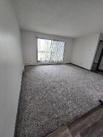 Spacious One bedroom One bathroom  on South Hill Available Now - Photo 8