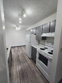 Spacious One bedroom One bathroom  on South Hill Available Now - Photo 10