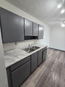Spacious One bedroom One bathroom  on South Hill Available Now - Photo 11