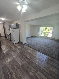 Spacious Two Bedroom on the South Hill - Photo 3