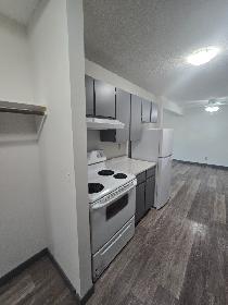 Spacious Two Bedroom on the South Hill - Photo 6