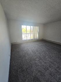 Spacious Two Bedroom on the South Hill - Photo 7