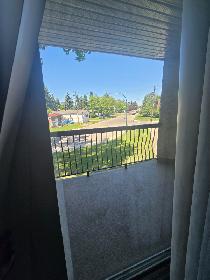 Spacious Two Bedroom on the South Hill - Photo 10