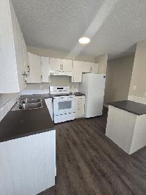 Beautiful Modern 1 Bedroom Apartment on North Side Available Now - Photo 2