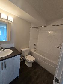Beautiful Modern 1 Bedroom Apartment on North Side Available Now - Photo 5