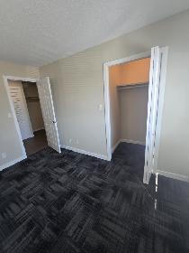 Beautiful Modern 1 Bedroom Apartment on North Side Available Now - Photo 6