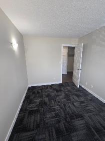 Beautiful Modern 1 Bedroom Apartment on North Side Available Now - Photo 7