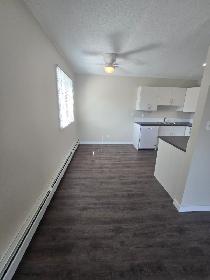 Beautiful Modern 1 Bedroom Apartment on North Side Available Now - Photo 8