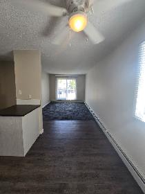 Beautiful Modern 1 Bedroom Apartment on North Side Available Now - Photo 10