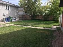 Main Floor 3 Bedroom WITH GARAGE! - Photo 10