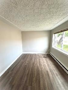 Bright & Spacious 2-Bedroom Main Floor Apartment | Northgate - Photo 3