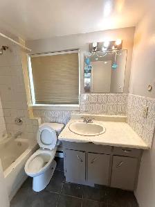 Bright & Spacious 2-Bedroom Main Floor Apartment | Northgate - Photo 6