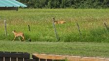 Martinson’s Beach – Lot 1 at Jackfish Lake | Seasonal Home   Cab - Photo 26