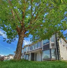 Strathmore Condo Spacious Ground floor unit, 2 Bedroom, Pets ok - Photo 2