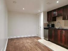 YONGE / FINCH –Prime Location BSMT Bachelor Own Kitchen & Bath - Photo 4