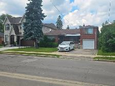 YONGE / FINCH –Prime Location BSMT Bachelor Own Kitchen & Bath - Photo 10