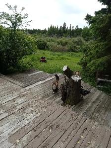 Acreage for sale near sherwood park ab. - Photo 4