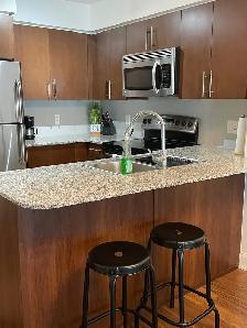 SHORT TERM | FURNISHED | 1   DEN - Photo 8